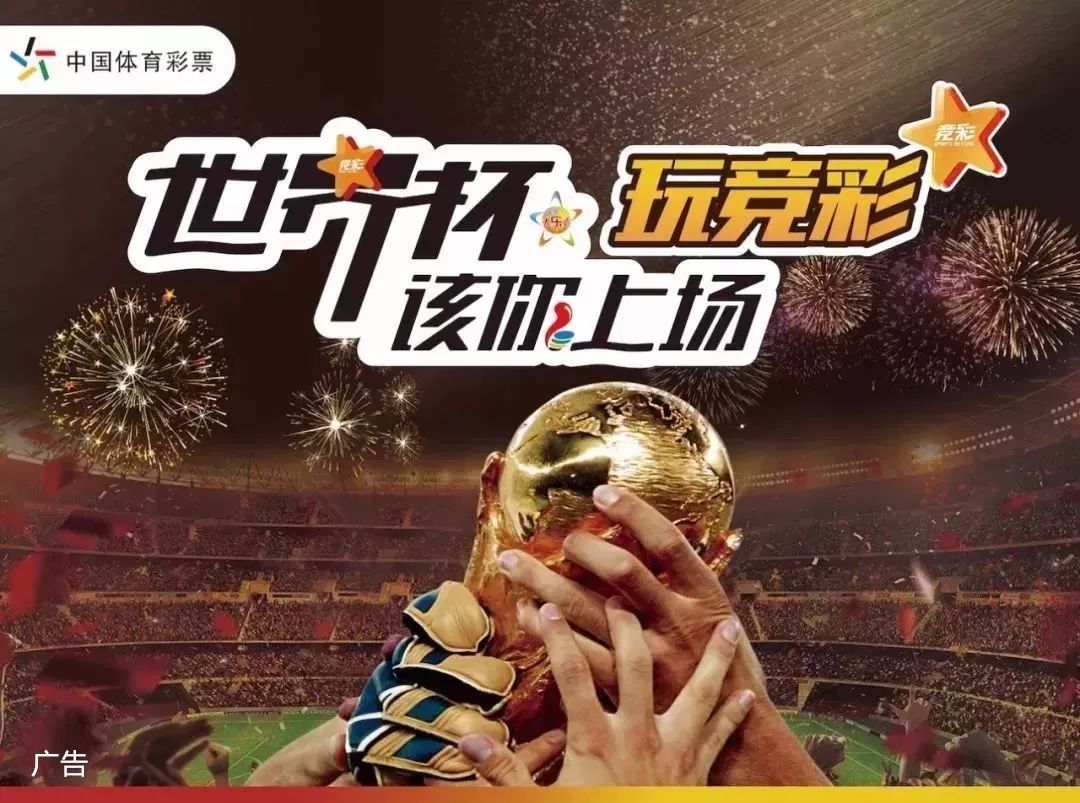 有教练组提